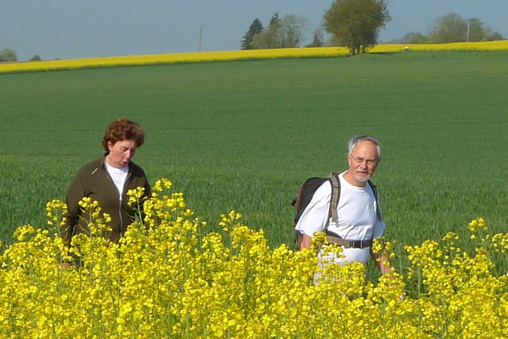 La Petite Varenne Turny Bagian luar foto